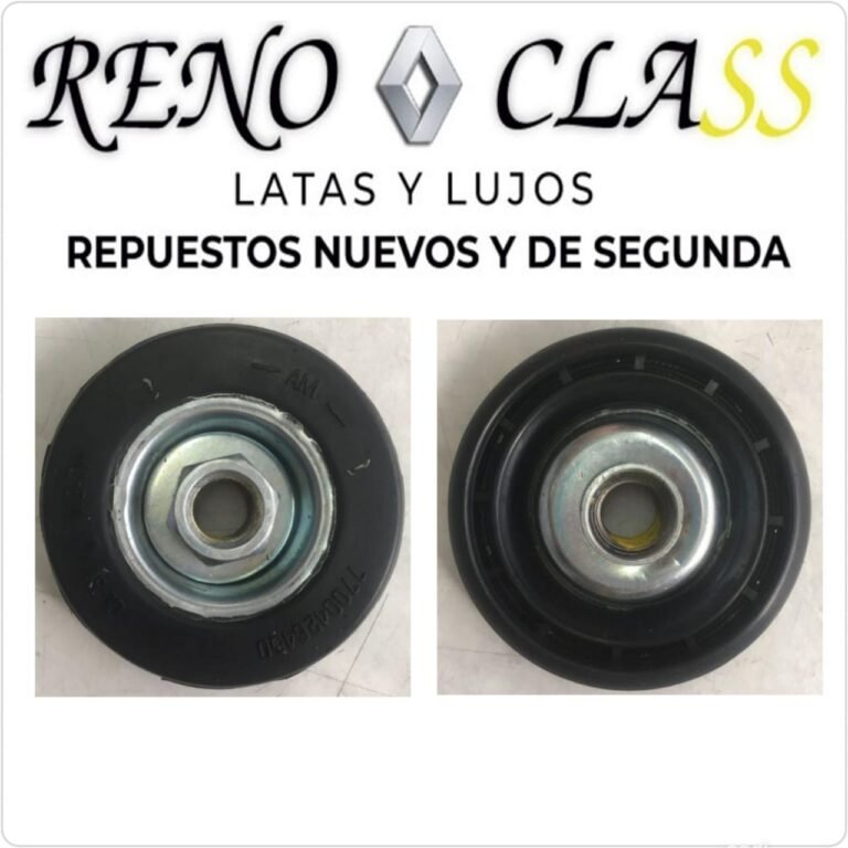 Renoclass 1