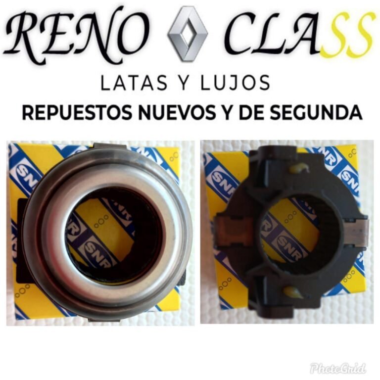 Renoclass 1