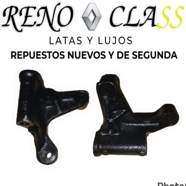 Renoclass 1